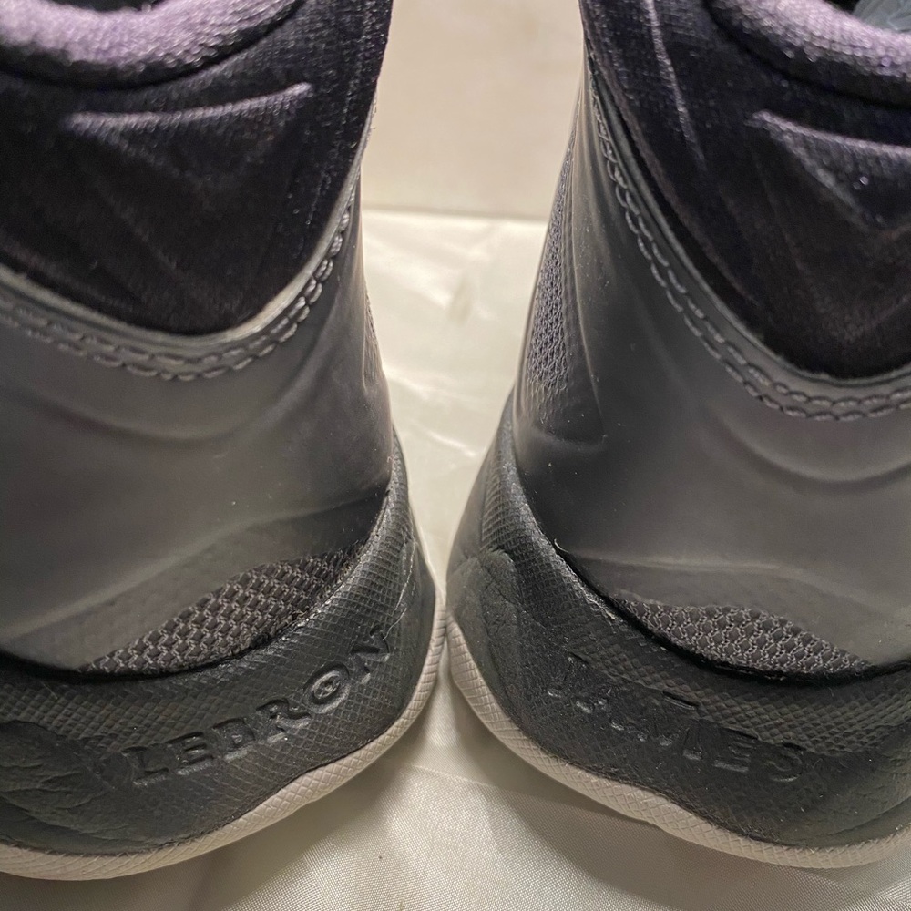 Nike Zoom Lebron James View 5